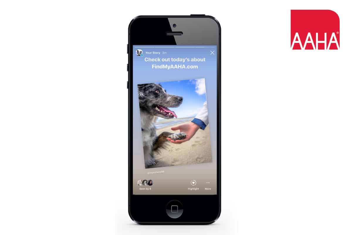 Influencer marketing campaign in partnership with the American Animal Hospital Association.