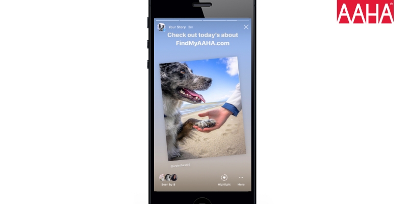 Influencer marketing campaign in partnership with the American Animal Hospital Association.