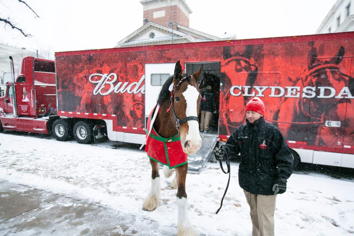 We partnered with Anheuser Busch on CSR work across Colorado communities, including this event at the Colorado State Capitol, featuring the Budweiser Clydesdales.